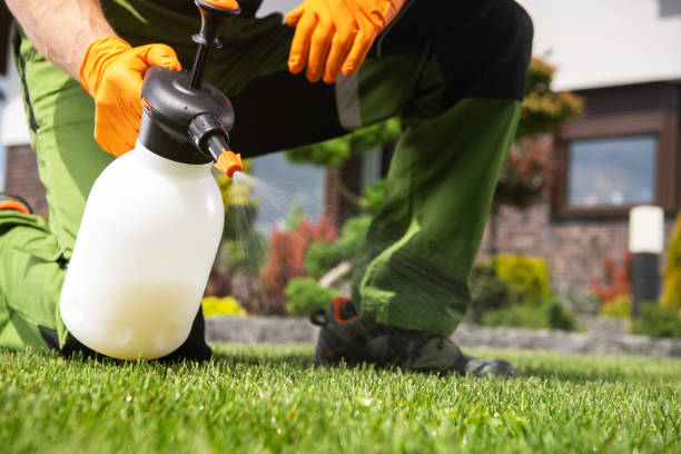 Best Flea Control Services  in Gladewater, TX