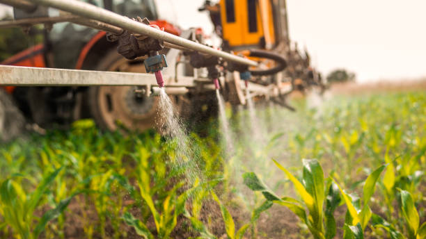 Best Local Pest Control Services  in Gladewater, TX